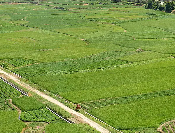 有機(jī)肥設(shè)備在生產(chǎn)中所帶來的經(jīng)濟(jì)價值